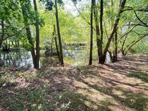 Photo 19- click for photo gallery